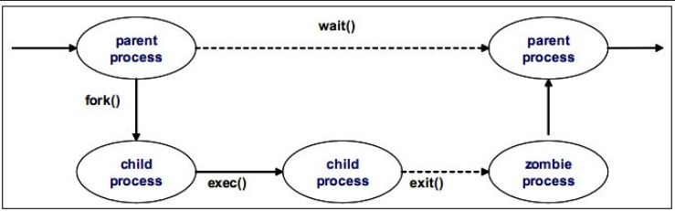 Process Lifecycle Linux. Linux Cycle. Process Lifecycle Linux start ready.